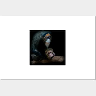 De Brazzas Monkey and baby. Posters and Art